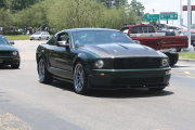 Black Mustang